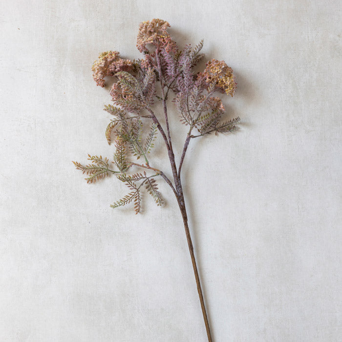 Hemlock Stem