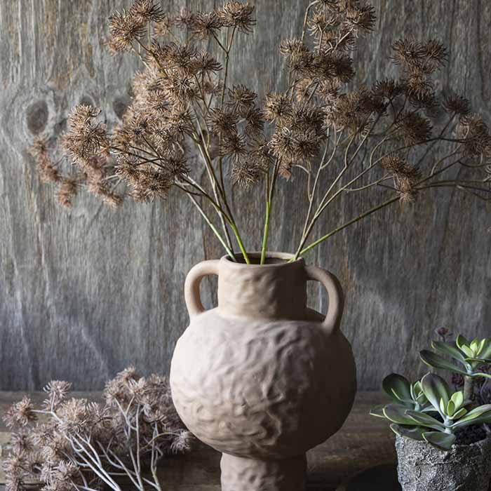 Hazel Stem